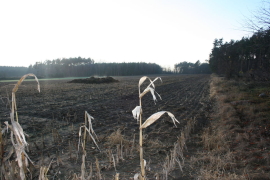 Nieruchomość gruntowa Kaszczor